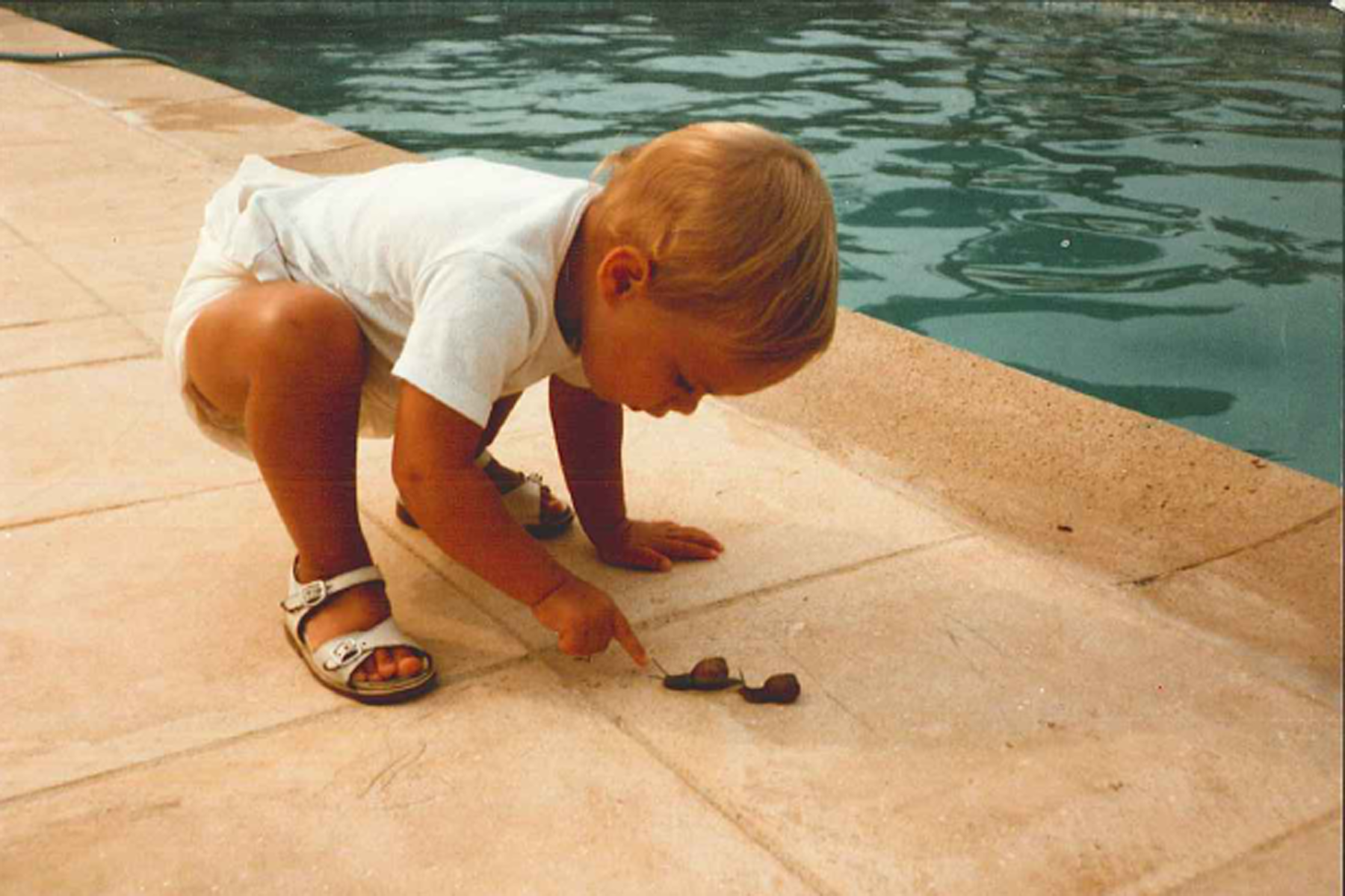 Infants Recognise Snakes from other Animals