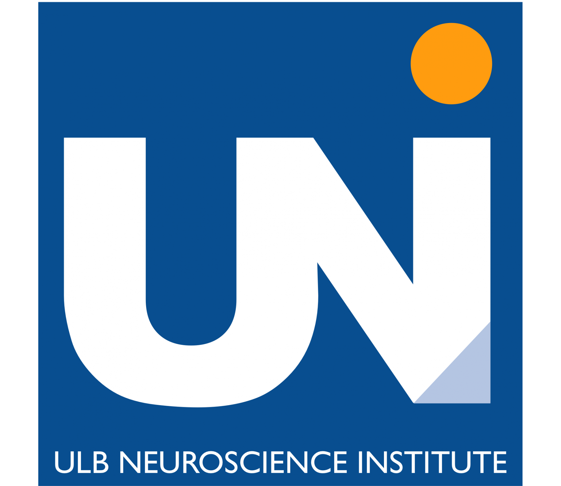 International PhD Program in Neuroscience: the 2018 call is open!